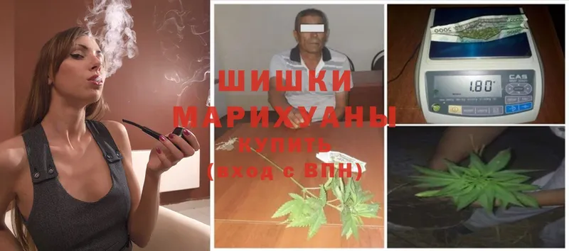 Бошки Шишки OG Kush  Малаховка 